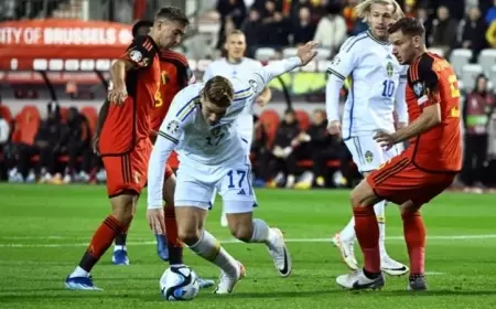 UEFA duyurdu! EURO 2024 Elemeleri: Belçika – İsveç maçı ertelendi