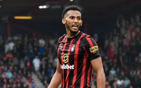 Fenerbahçe, Newcastle'yi İstiyor